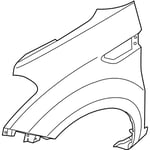 صورة PANEL-FENDER LH