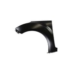 صورة PANEL-FENDER LH