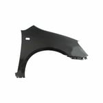 صورة PANEL-FENDER RH