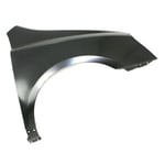 صورة PANEL-FENDER RH