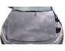Hood - 664002T000