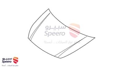 كبوت
