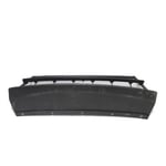 صورة Grille Bumper