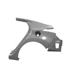 صورة Rear Left Fender