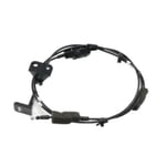 صورة سلك كبوت