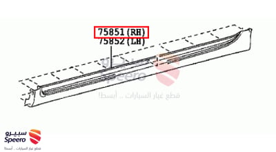 سمكة يمين