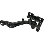 صورة HINGE ASSY-HOOD RH