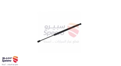 Right Rear Window Shock Absorber