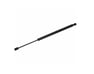 Left Rear Window Shock Absorber - 7L1Z7842105A