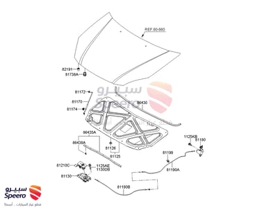 LATCH ASSY-HOOD - 811301G000