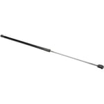 صورة bonnet struts