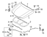 Cable Assembly-Hood Latch Release - 811903S000