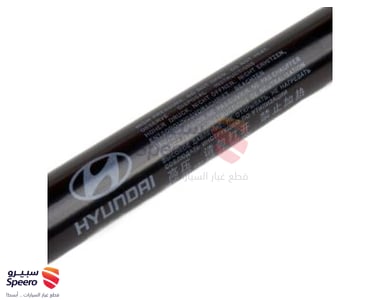 817713M000 - 817713M000