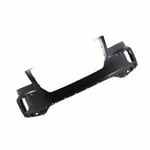 صورة صدام امامي