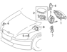 Steering Wheel Clock Spring - 8430652041