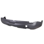 صورة صدام خلفي