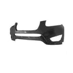 صورة صدام امامي