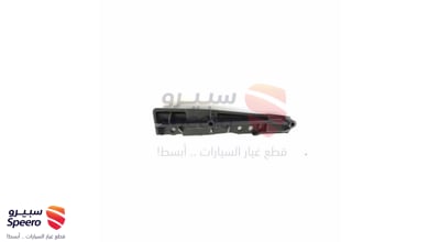 عظمة صدام خلفي يسار
