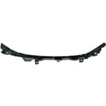 صورة عظمة شمعة يسار