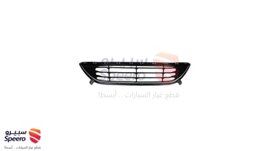 شبك صدام