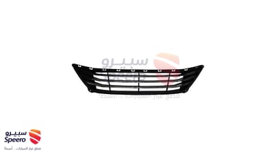 شبك صدام