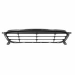 صورة Grille Bumper