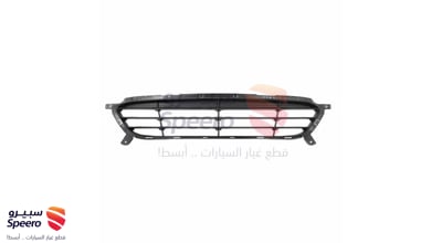 Grille Bumper