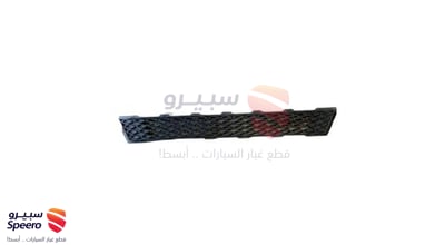 شبك صدام
