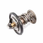 Thermostat Valve 89018168