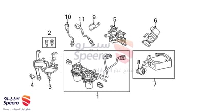 حساس شكمان
