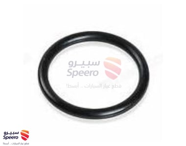 RING, O, DISTRIBUTOR HOUSING - 9009914091
