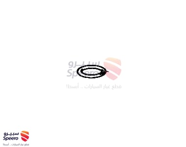 RING, O, DISTRIBUTOR HOUSING - 9009914091