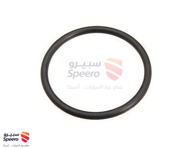 RING, O, DISTRIBUTOR HOUSING - 9009914091