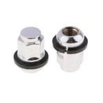 صورة صامولة كفر