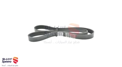 RIB BELT