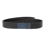 صورة Dynamo Belt