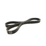 صورة Serpentine Belt