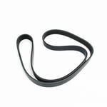 صورة سير دينمو