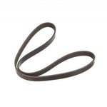 صورة سير دينمو