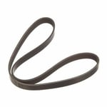 صورة سير دينمو