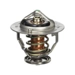 صورة Thermostat Valve