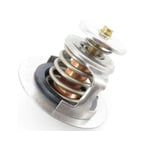 صورة THERMOSTAT