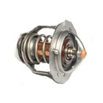 صورة Thermostat Valve