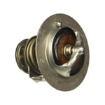صورة THERMOSTAT