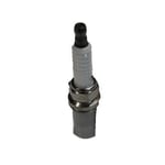 Spark Plug 9091901176