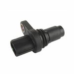 صورة حساس كرنك