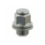 صورة NUT, HUB (FOR AXLE)