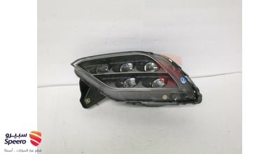 Fog light F,L