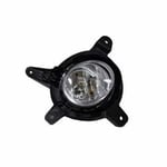 صورة LAMP FOG RH ASSY