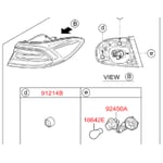 صورة اسطب خلفي يسار